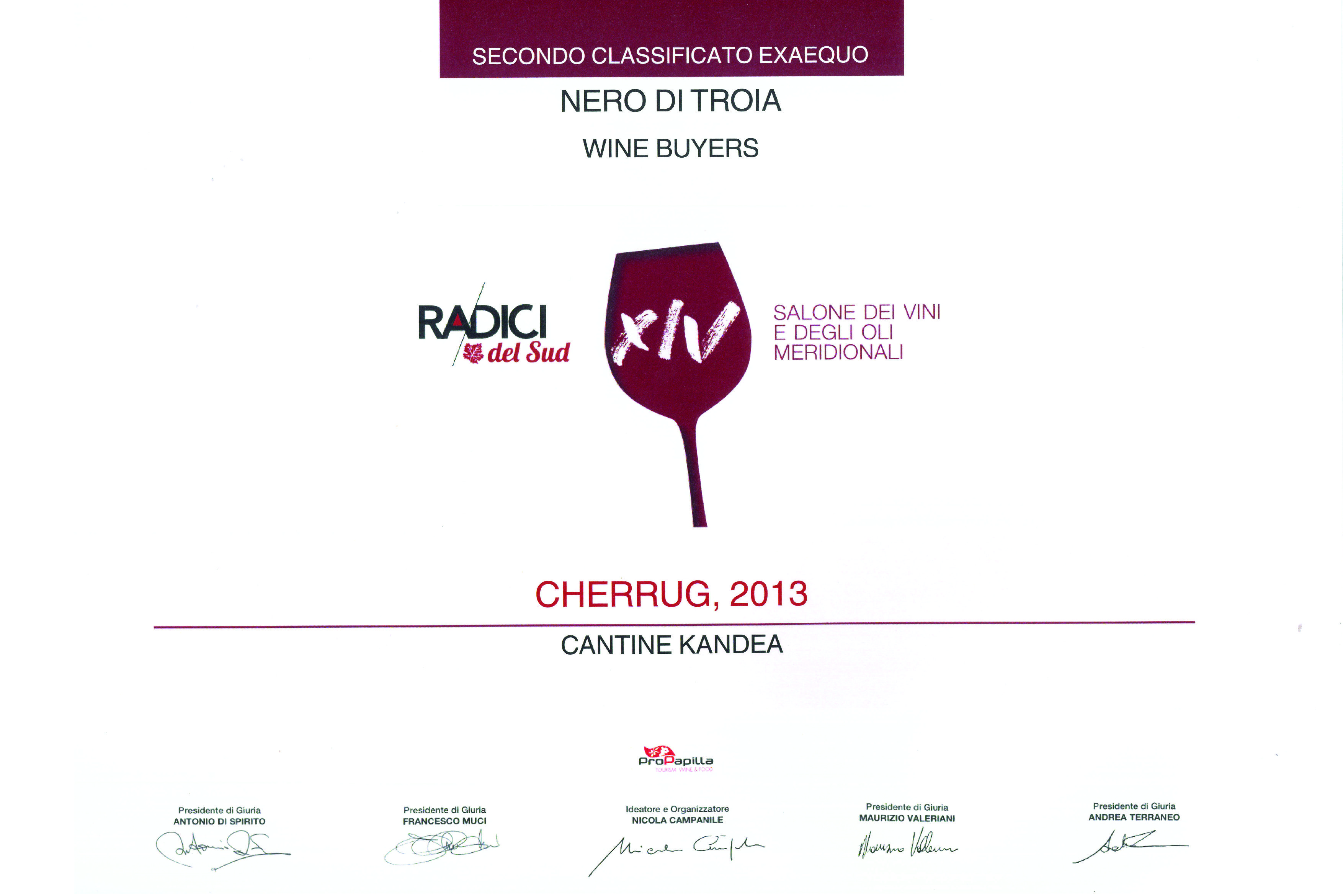 CHERRUG 2013 - 1° vino premiato RADICI 2019